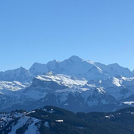 La Chanterelle - Mountain Lodge La Cote d'Arbroz المظهر الخارجي الصورة