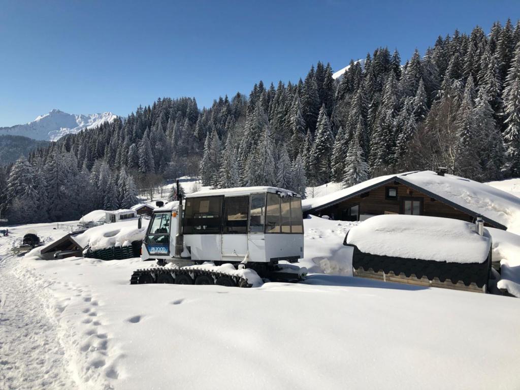 La Chanterelle - Mountain Lodge La Cote d'Arbroz المظهر الخارجي الصورة