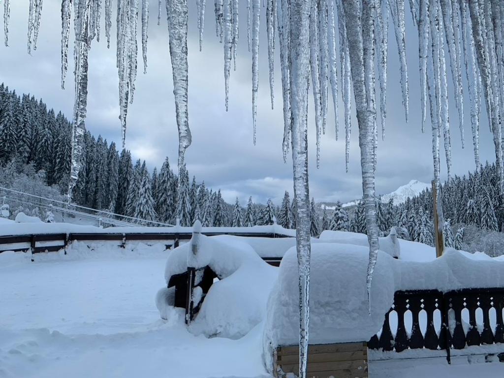 La Chanterelle - Mountain Lodge La Cote d'Arbroz المظهر الخارجي الصورة