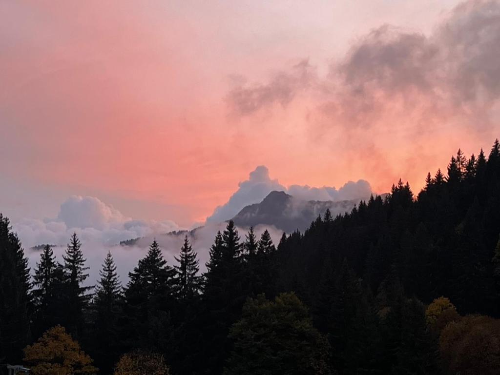 La Chanterelle - Mountain Lodge La Cote d'Arbroz المظهر الخارجي الصورة