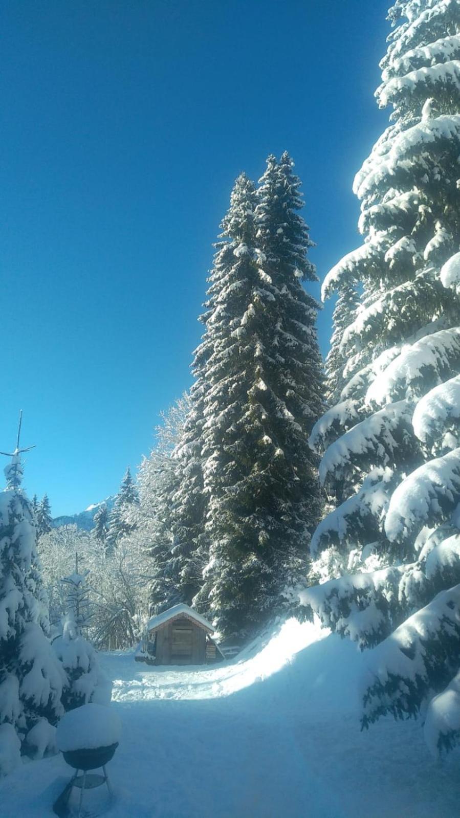 La Chanterelle - Mountain Lodge La Cote d'Arbroz المظهر الخارجي الصورة