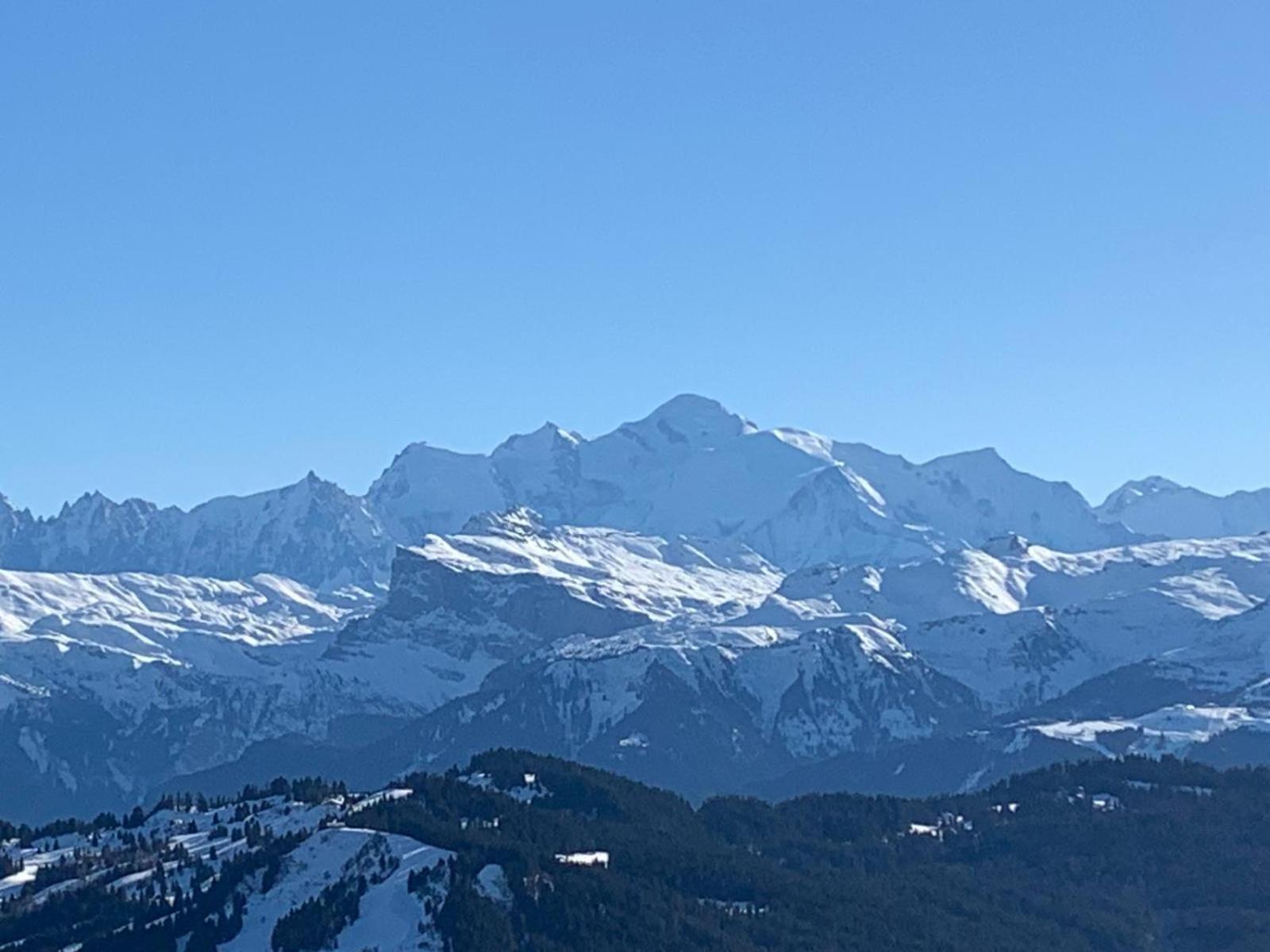 La Chanterelle - Mountain Lodge La Cote d'Arbroz المظهر الخارجي الصورة