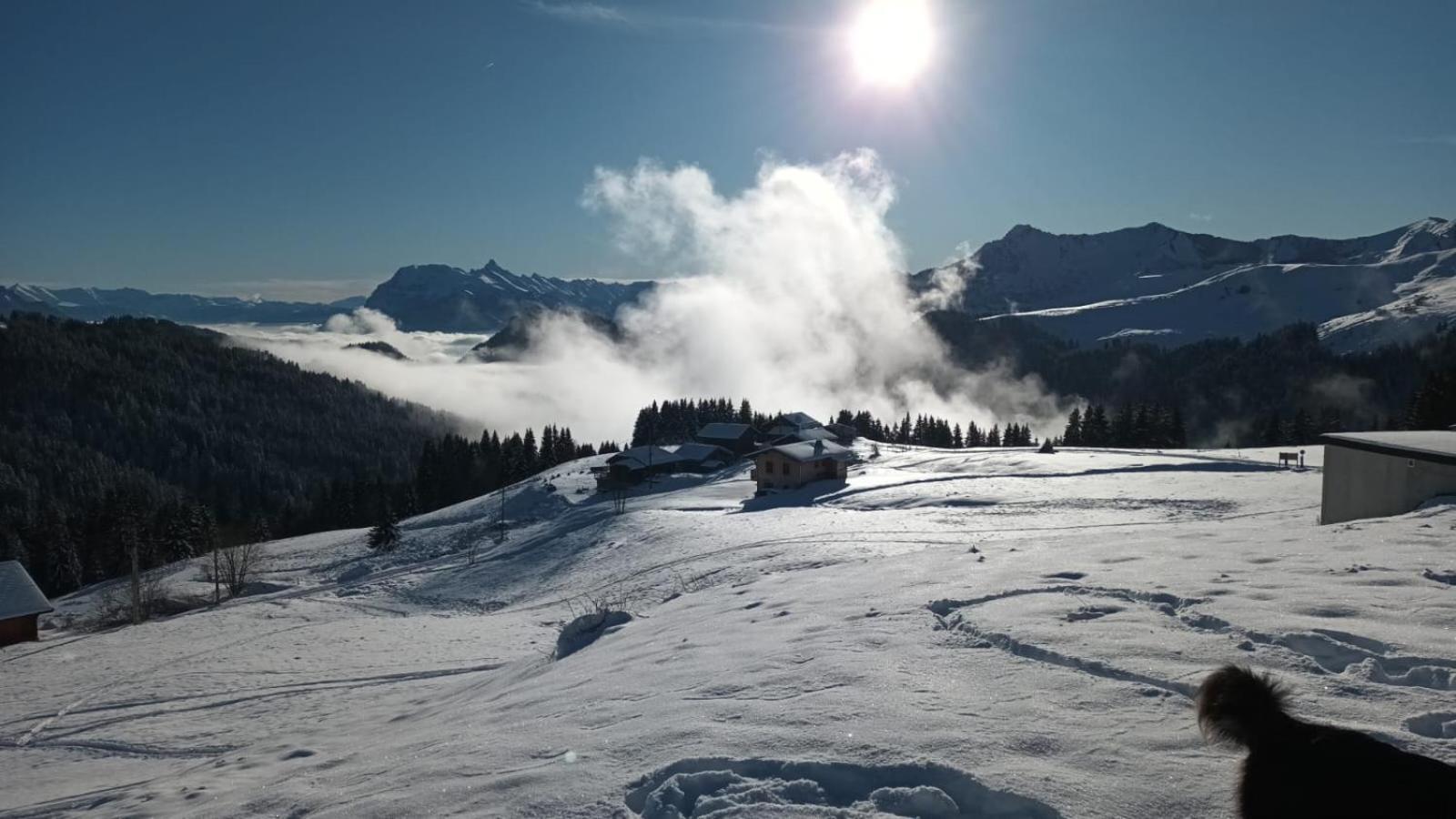 La Chanterelle - Mountain Lodge La Cote d'Arbroz المظهر الخارجي الصورة