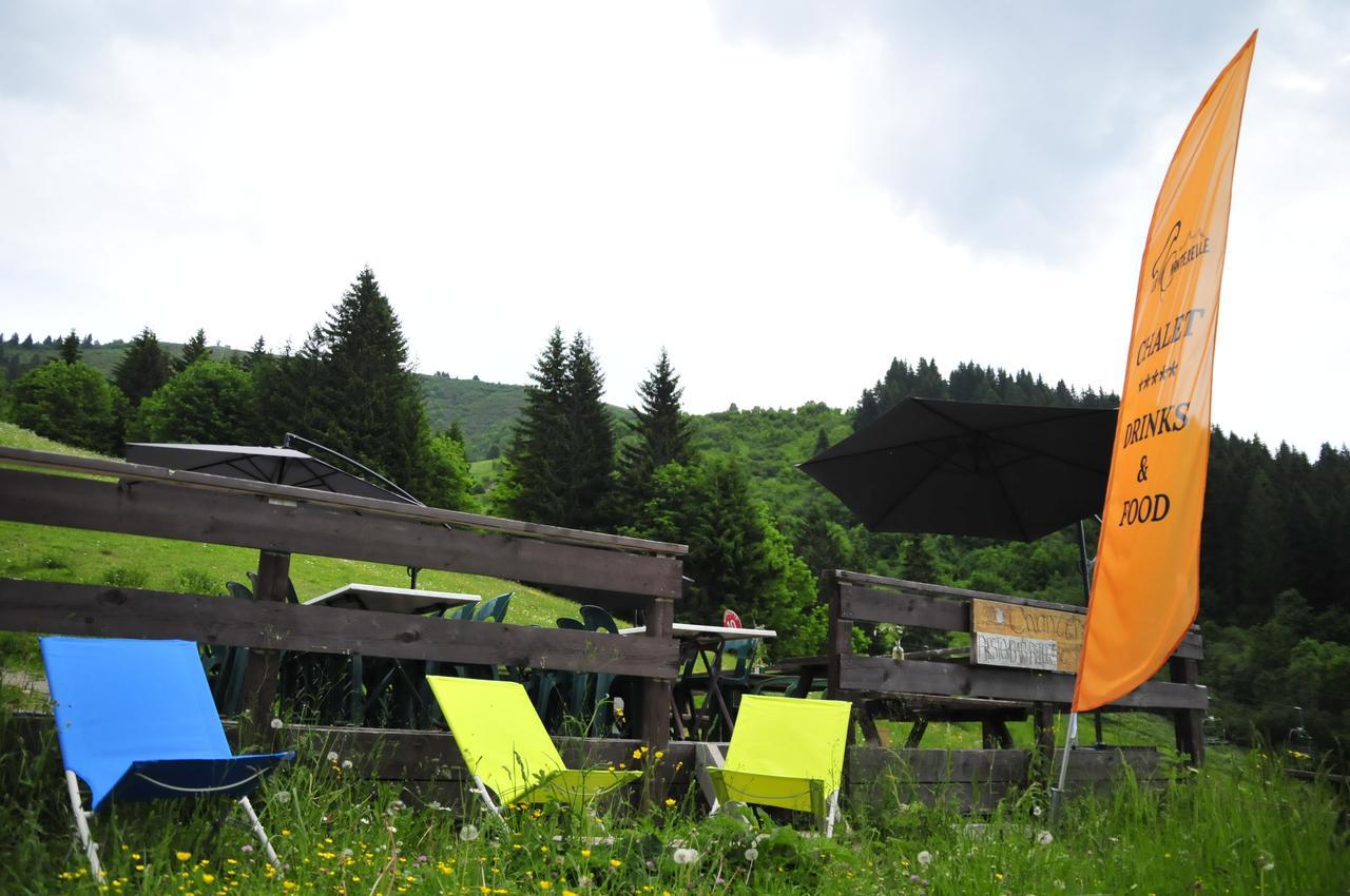 La Chanterelle - Mountain Lodge La Cote d'Arbroz المظهر الخارجي الصورة