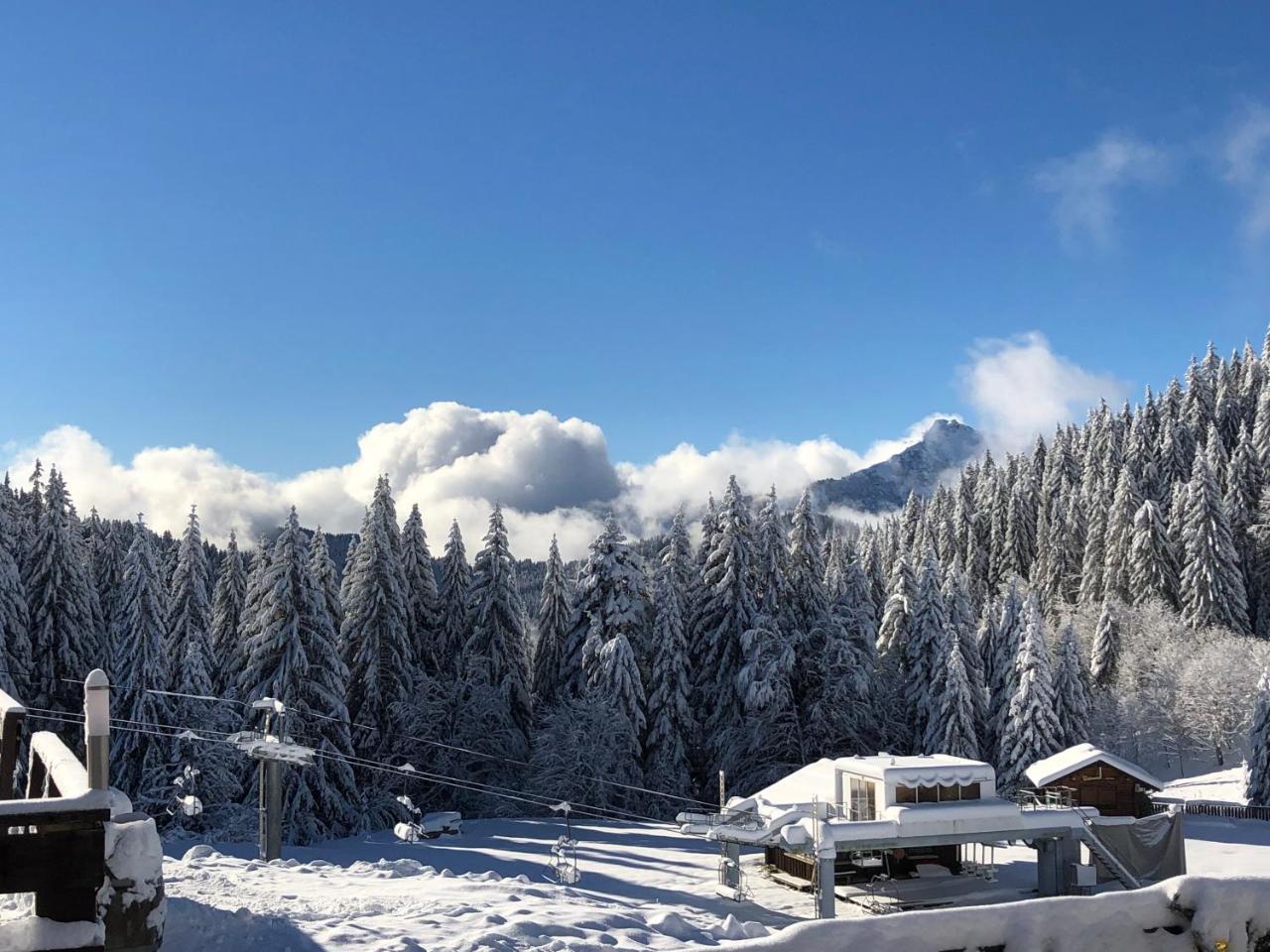 La Chanterelle - Mountain Lodge La Cote d'Arbroz المظهر الخارجي الصورة