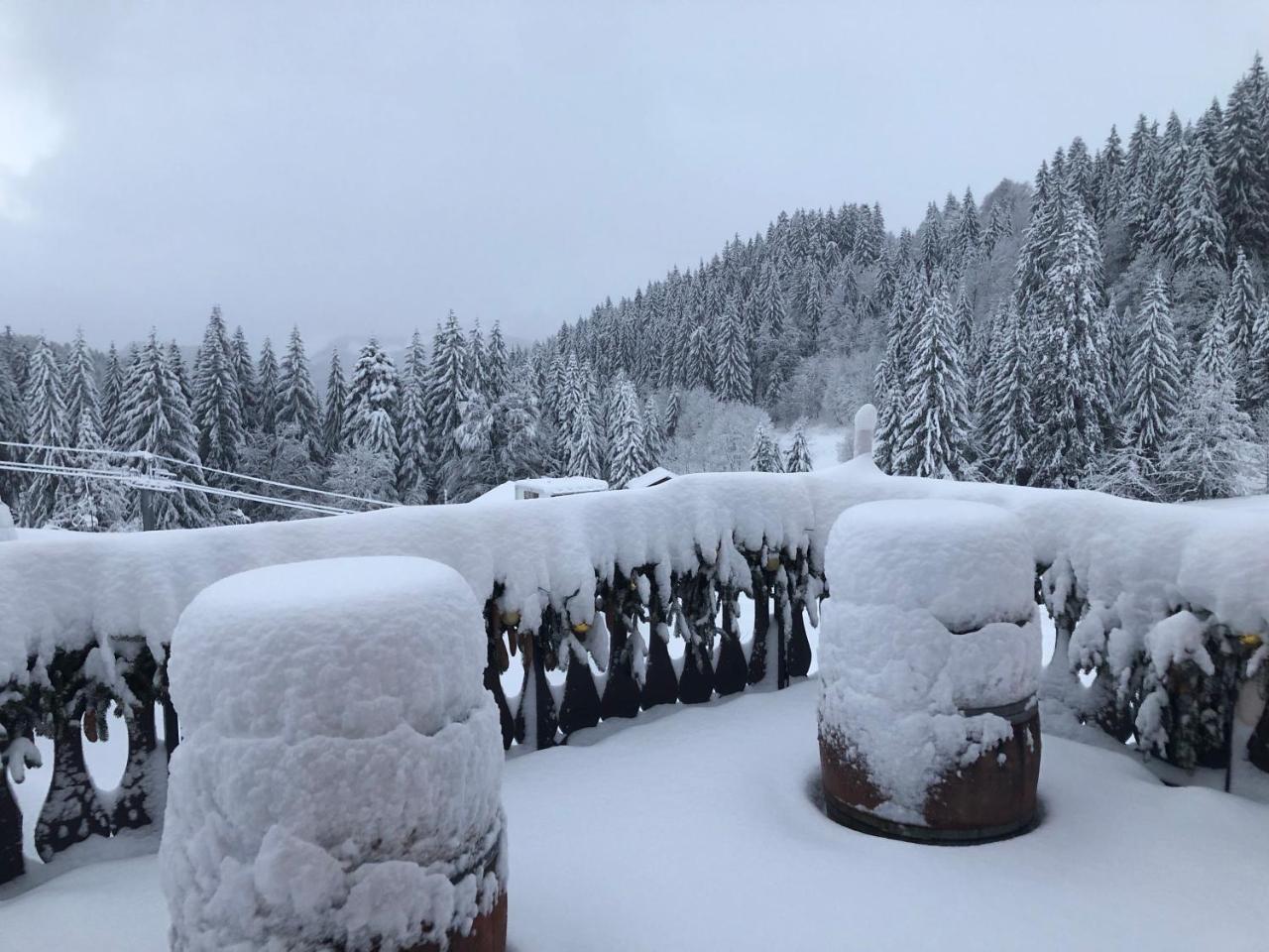 La Chanterelle - Mountain Lodge La Cote d'Arbroz المظهر الخارجي الصورة